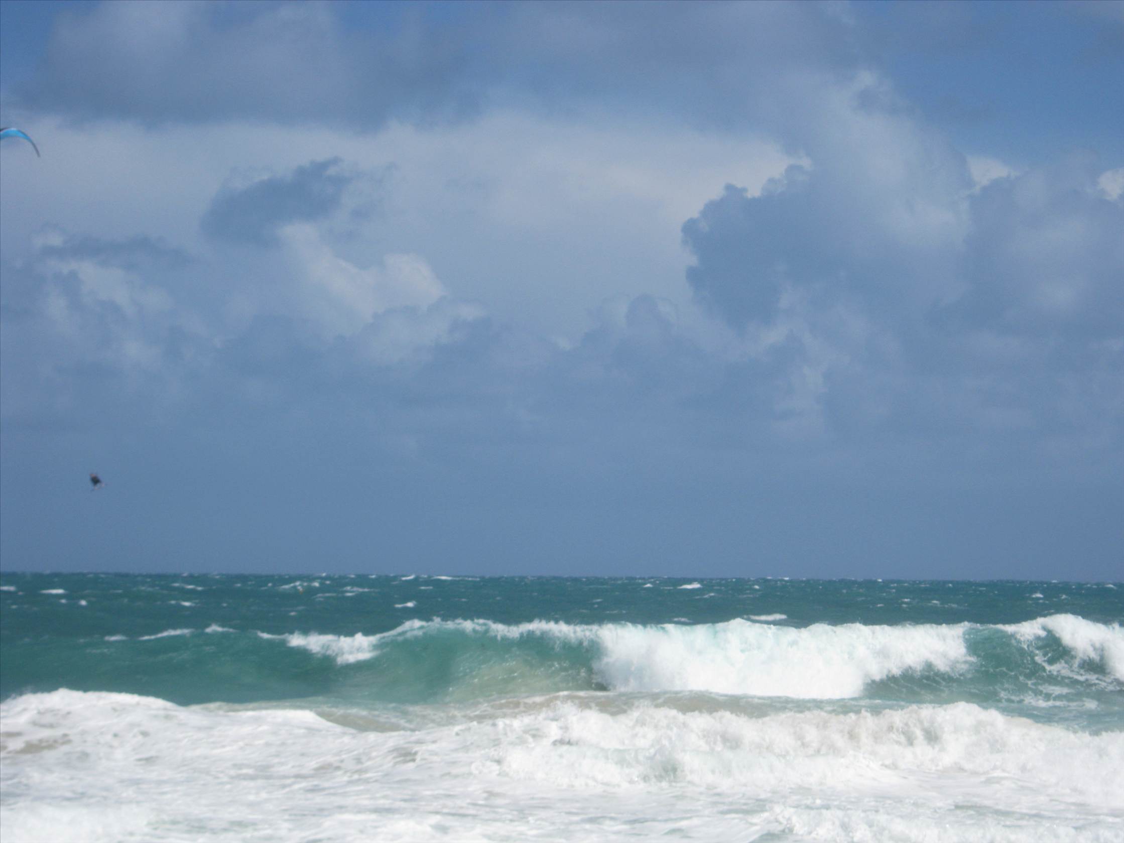 Pretty Windy today