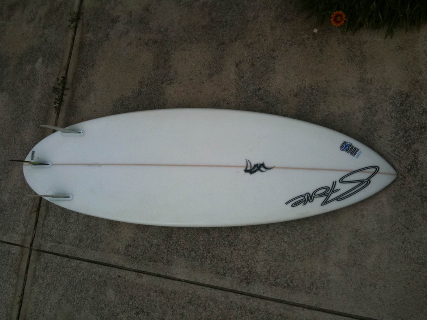 Radman Wave Pro