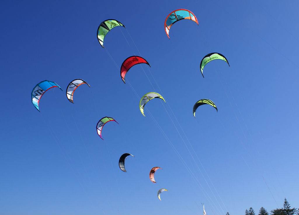 Sydney kite race