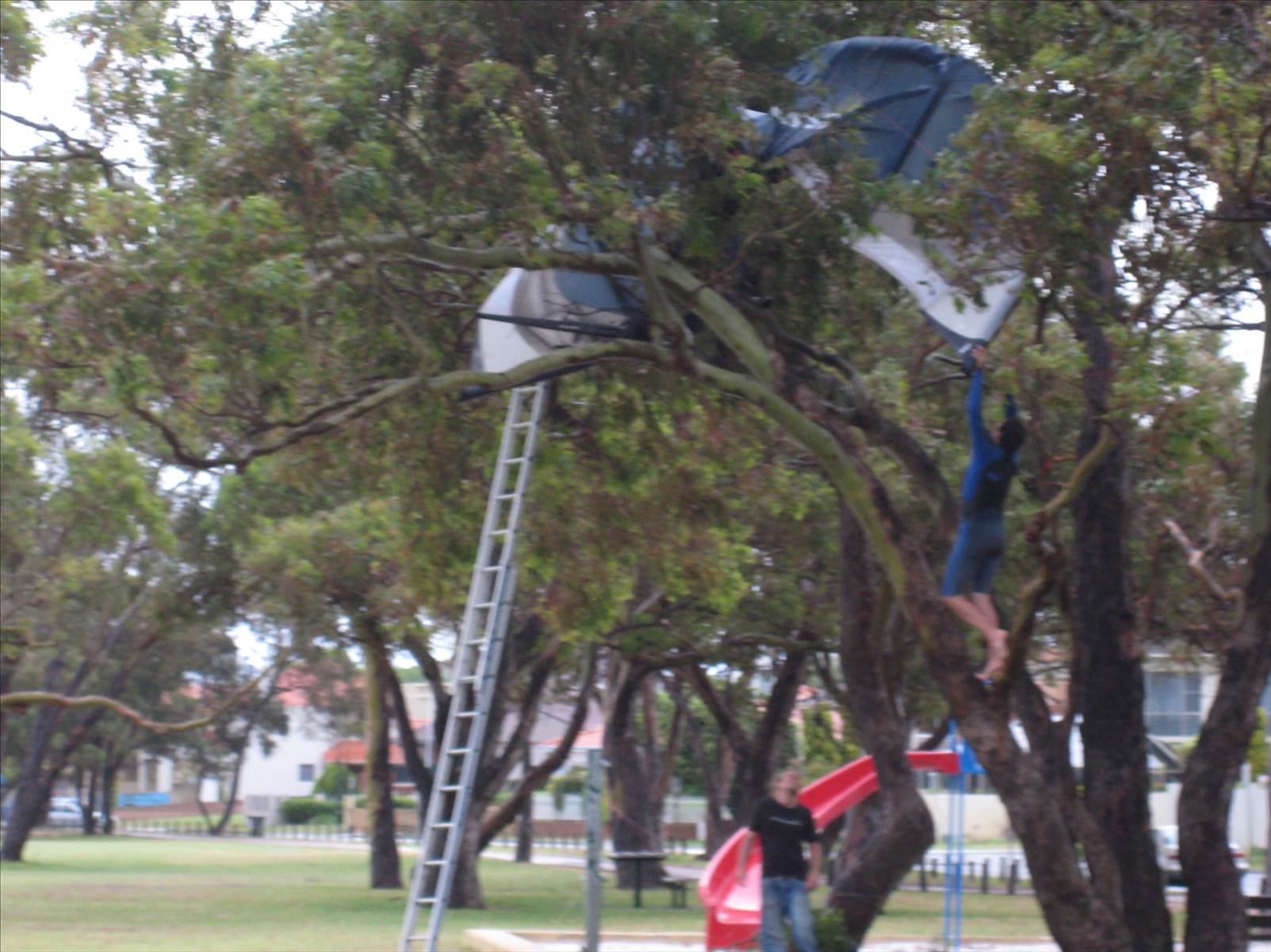 Melville