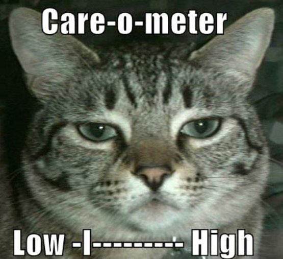 care o meter