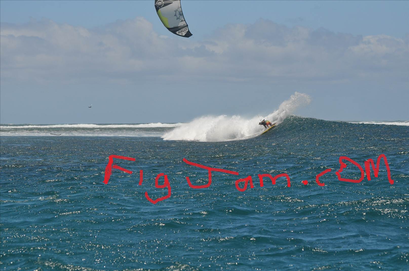 figjam 1
