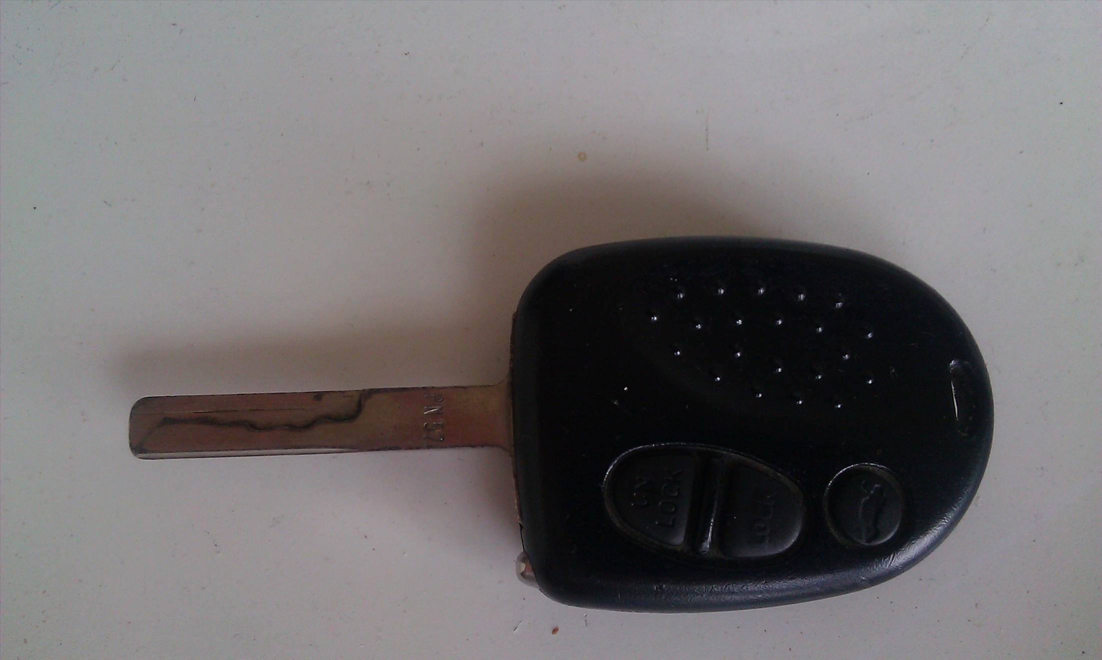 IMAG0454-1