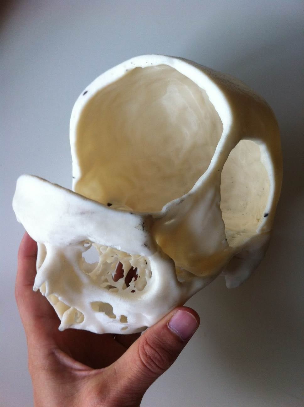 skull4