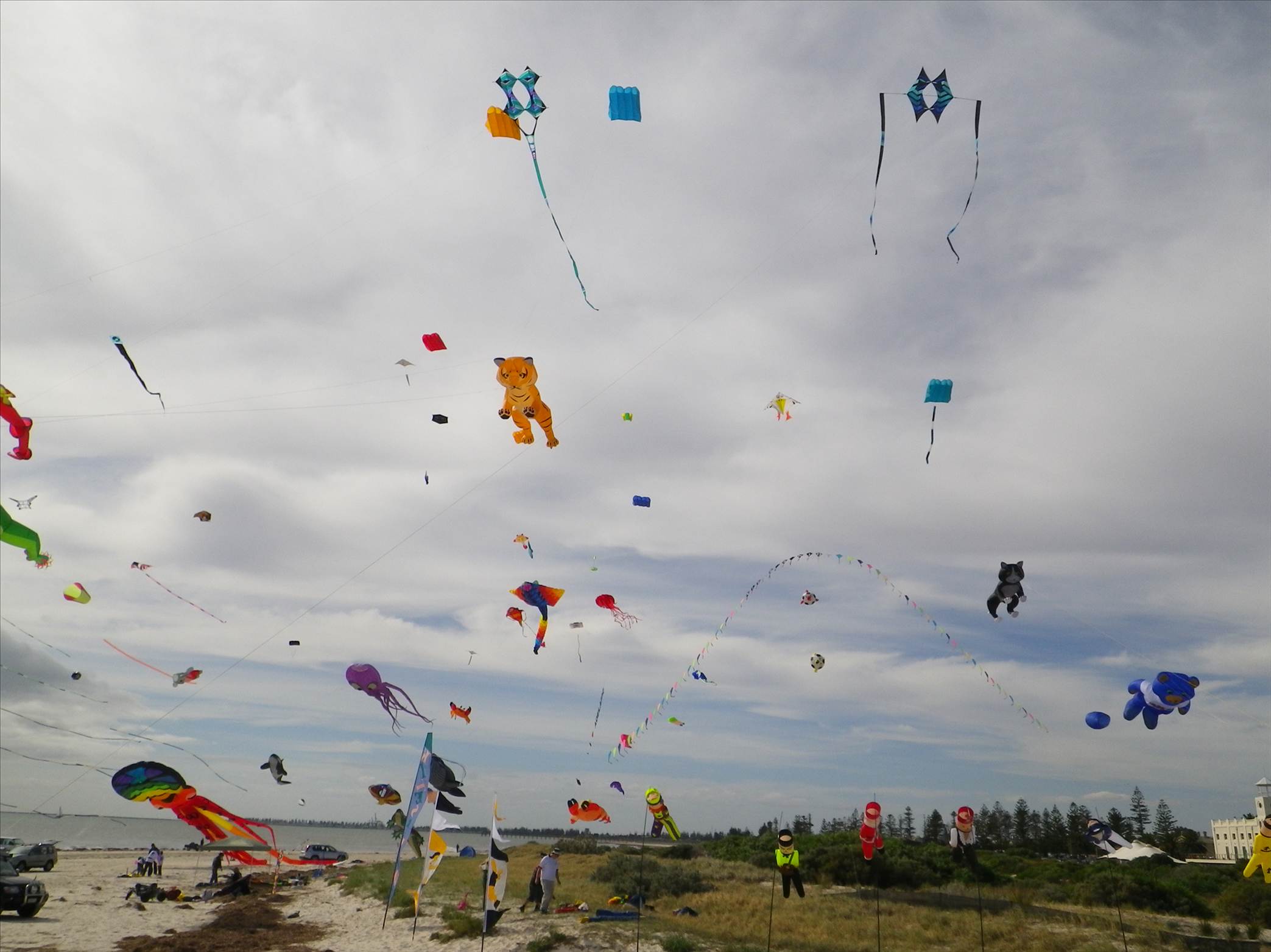 Adelaide Kite Festival 2012