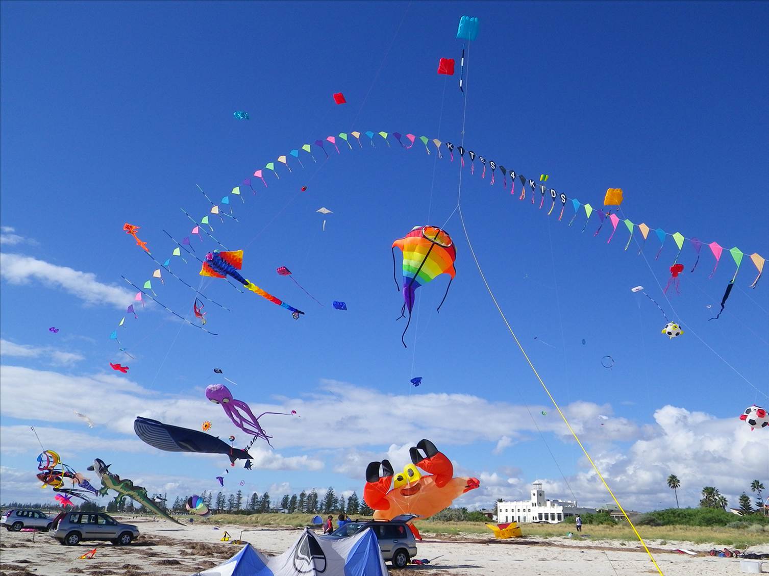Adelaide Kite Festival 2012