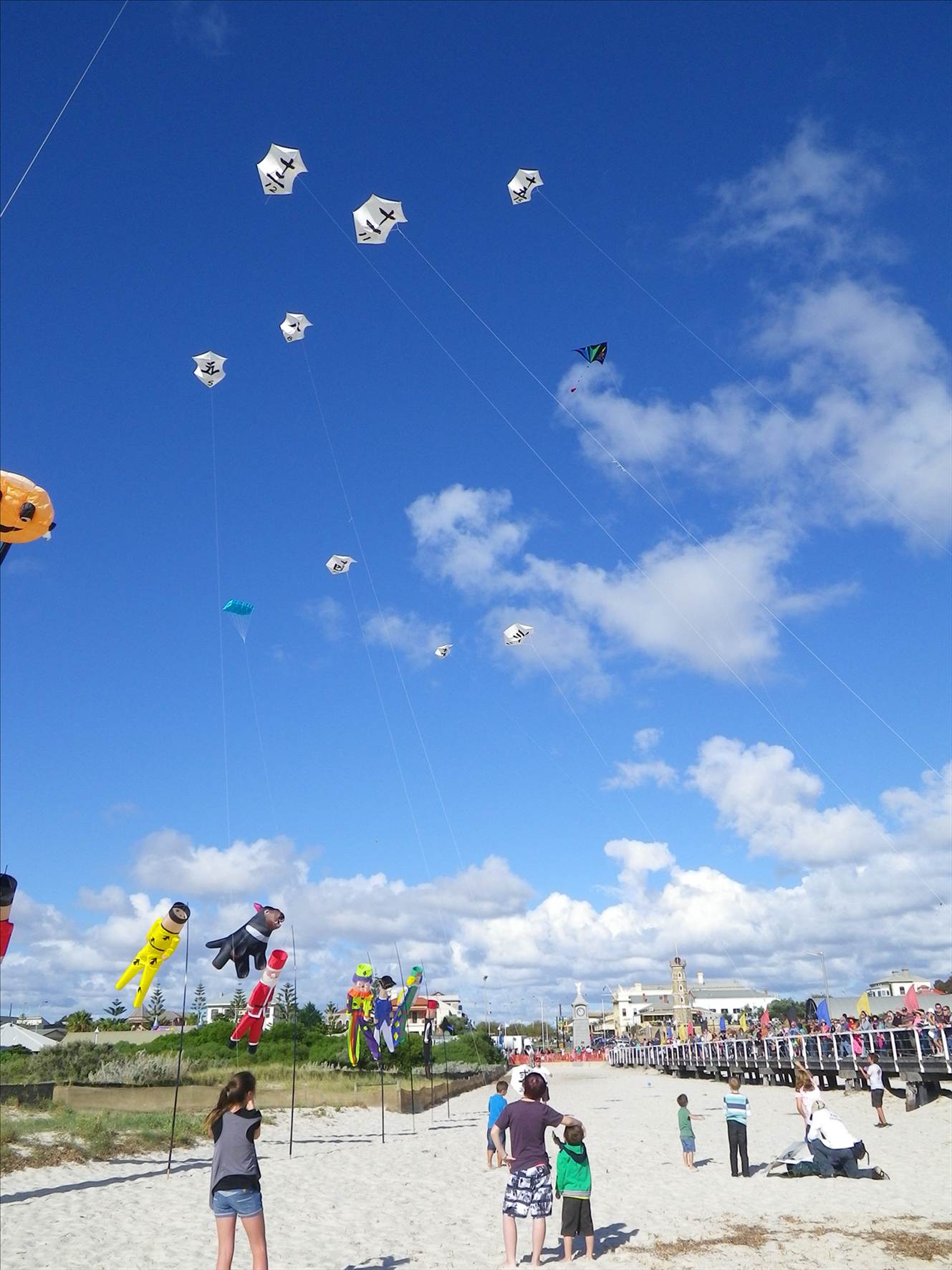 Adelaide Kite Festival 2012