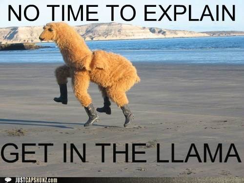 funny-captions-no-time-to-explain-get-in-the-llama