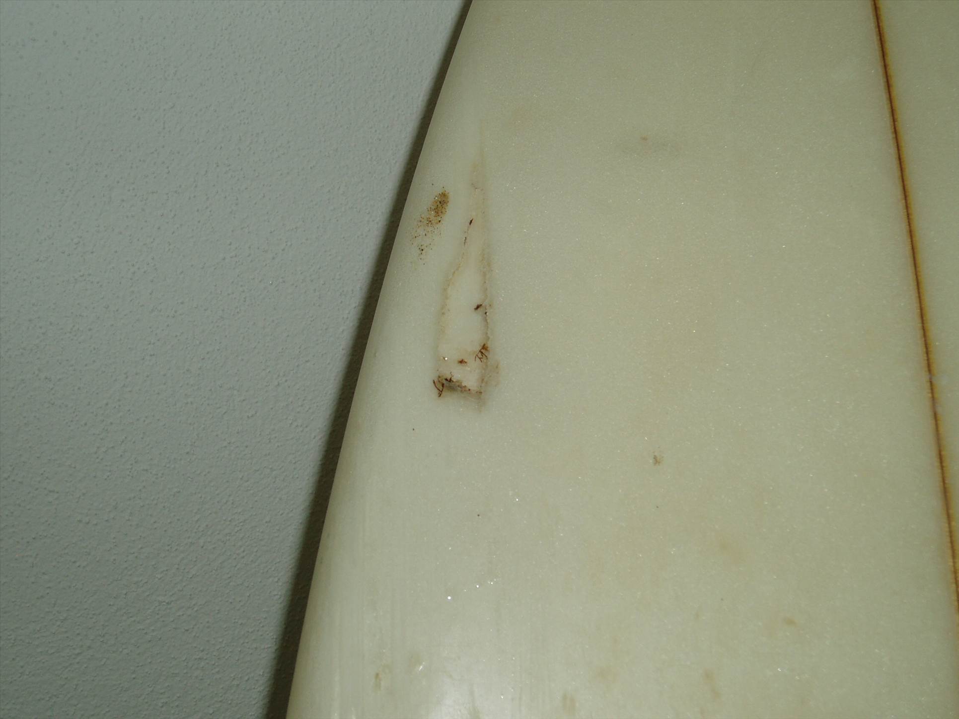 P1010023