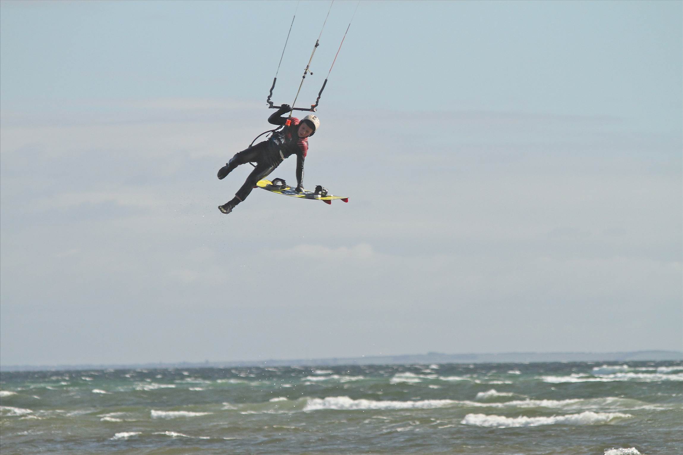TRIBE CAREW