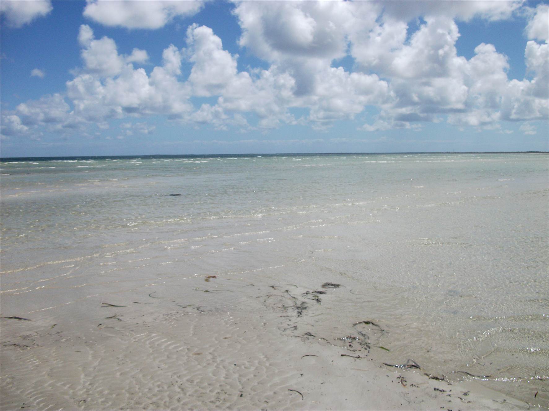 Moonta bay