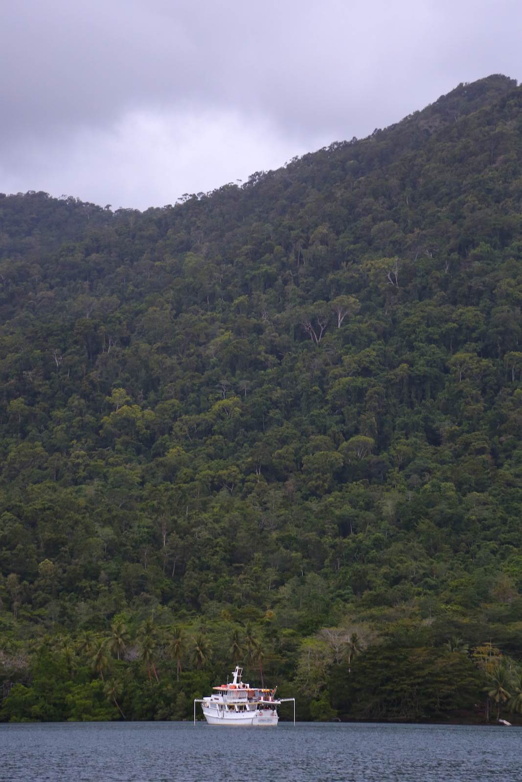 PNG kite trip
