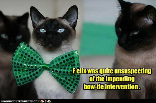 bow tie