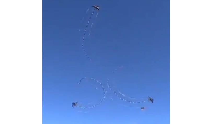 Kites