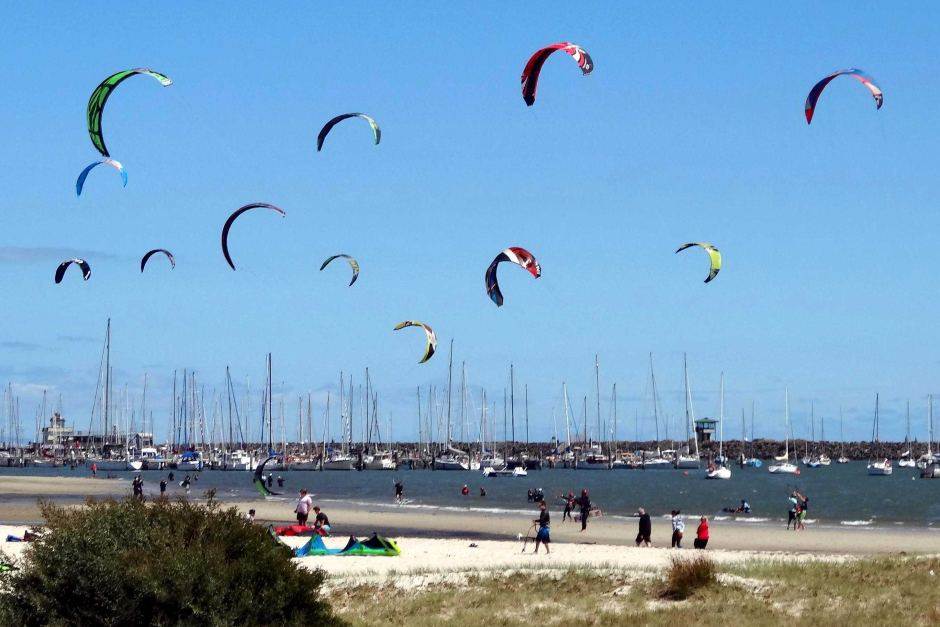 vic kite