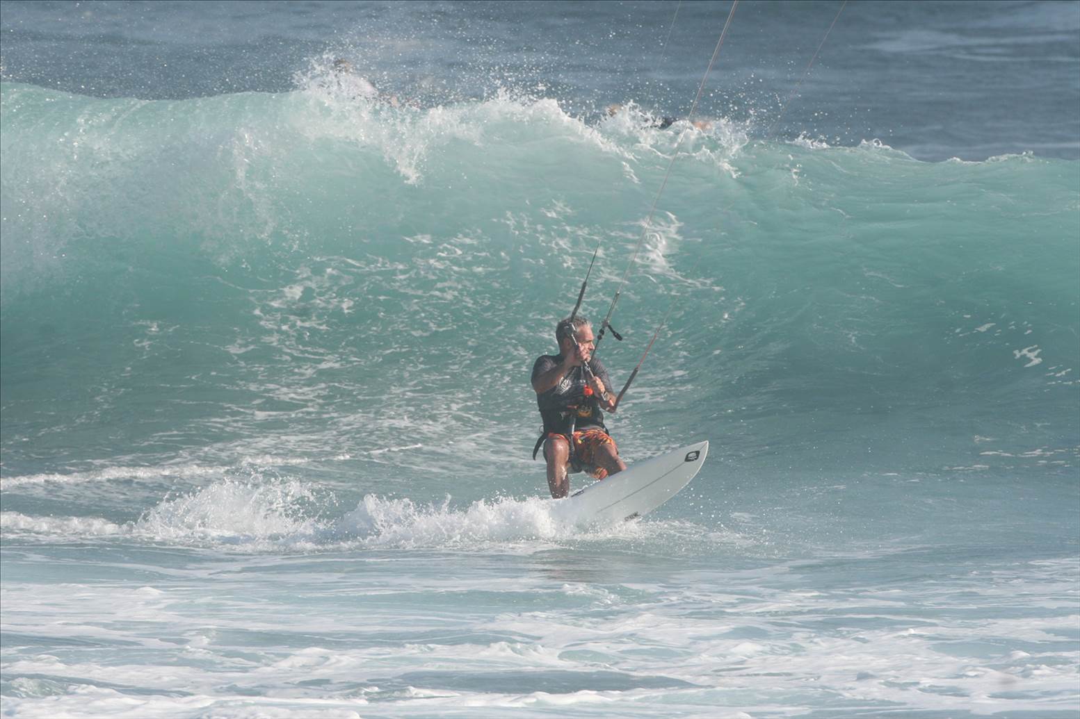 balian 2012 b