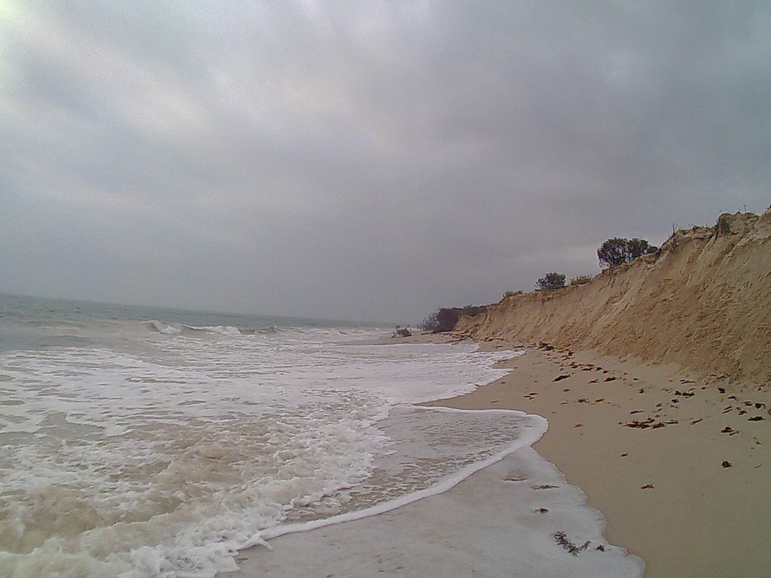 Pinnas Sept 1 2013