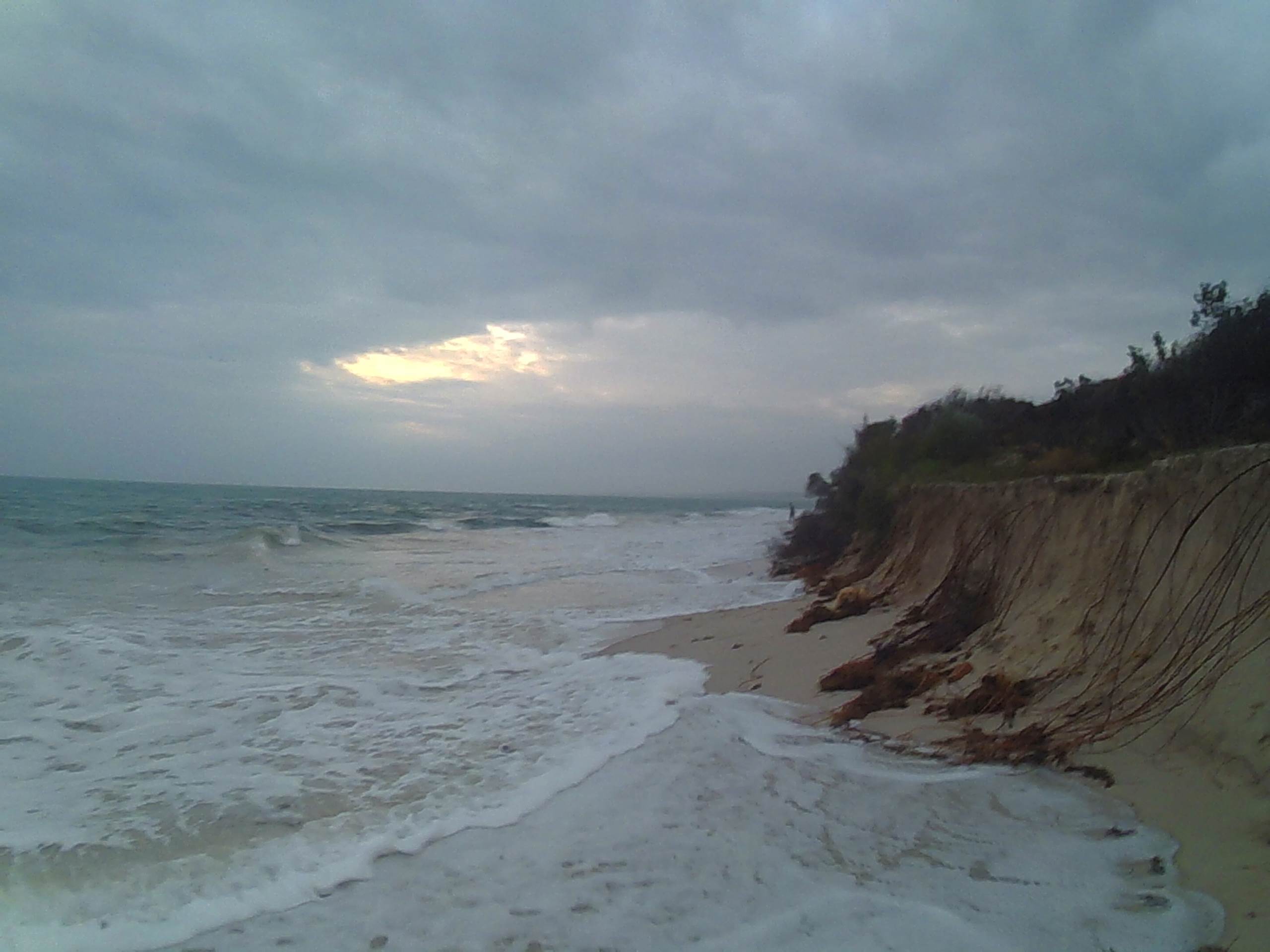 Pinnas Sept 1 2013