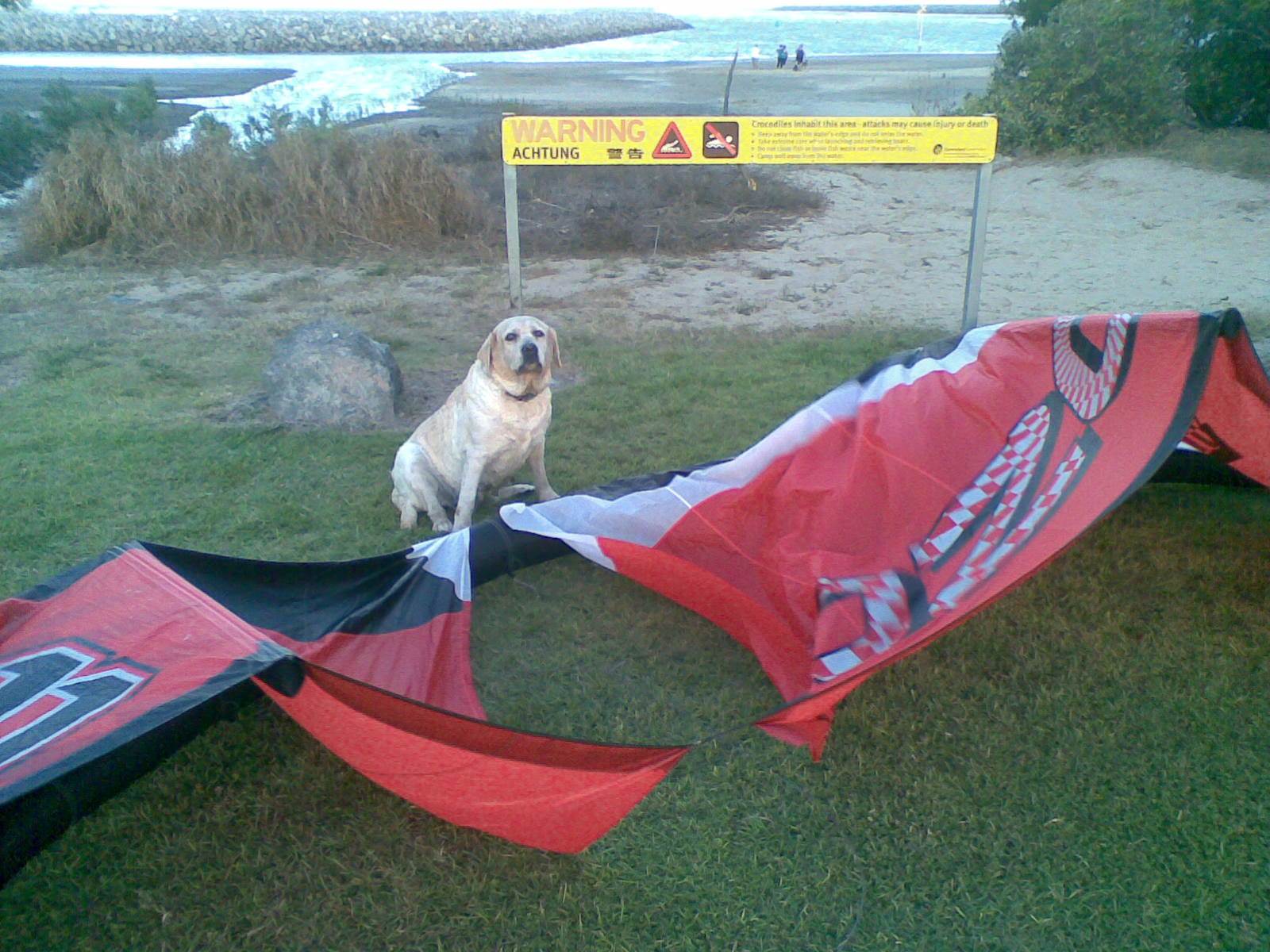kite ripped