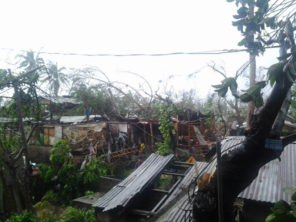 Haiyan 10