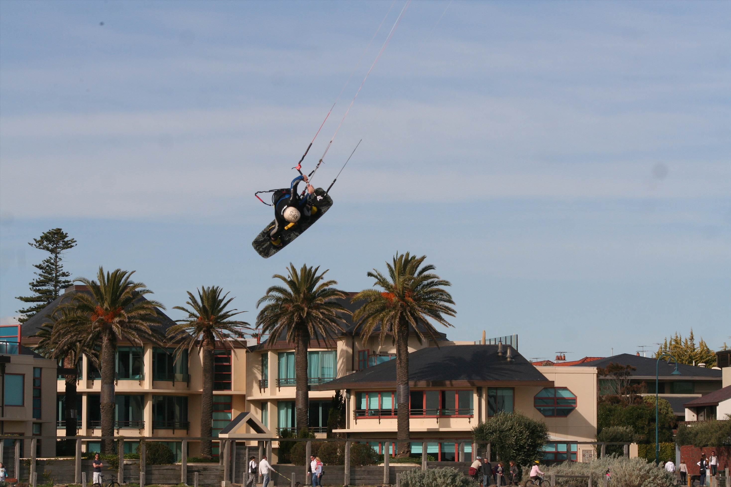 dogbeach2972011 148