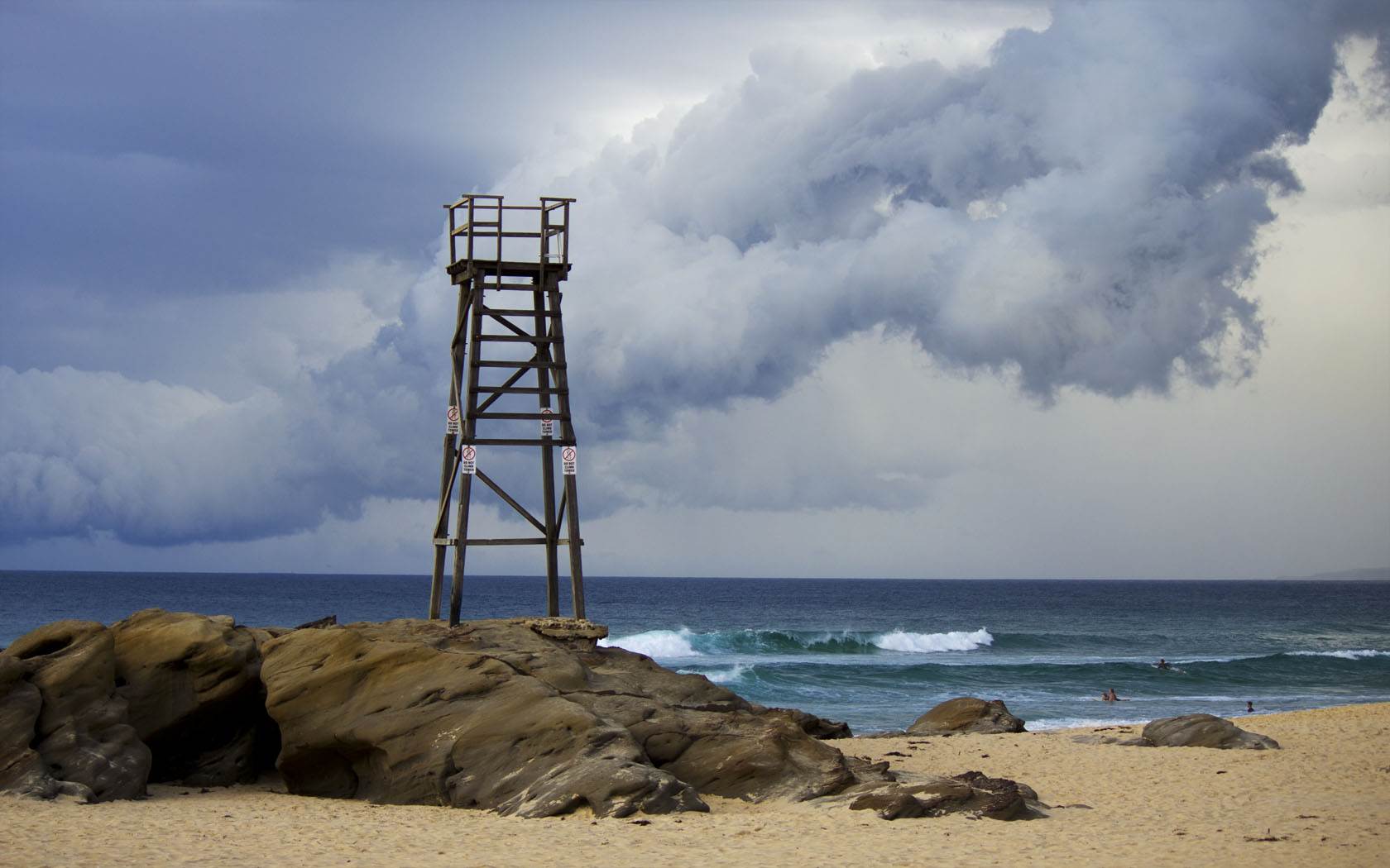 Redhead Storms