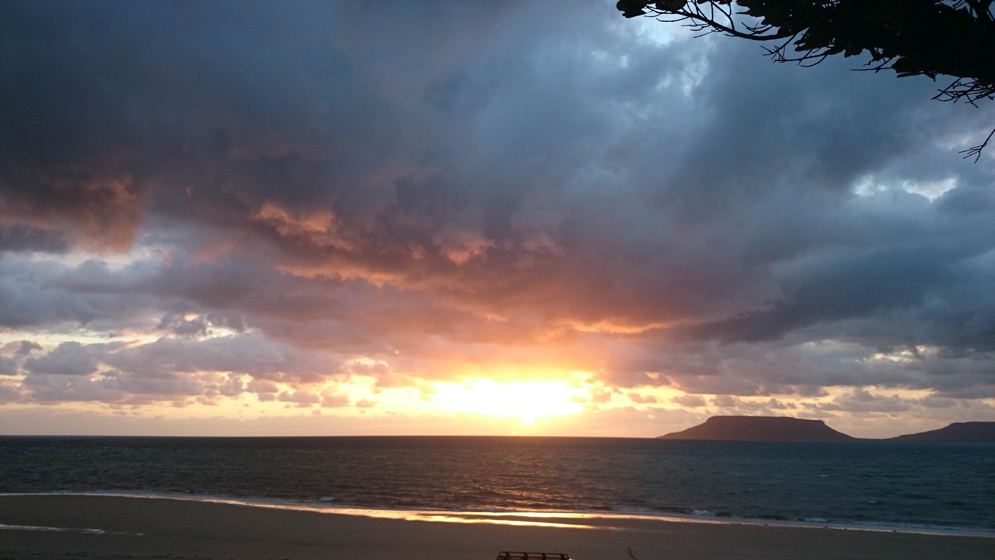 Australian Kite Safari