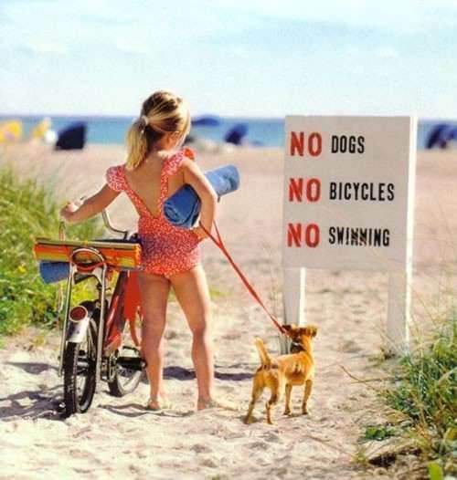 no anything