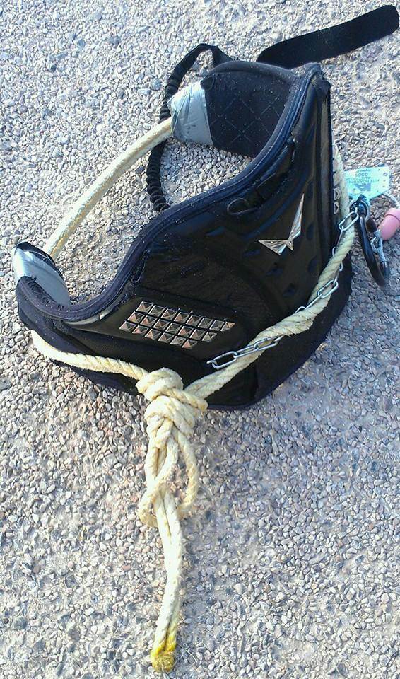 Ian Young Harness Repair