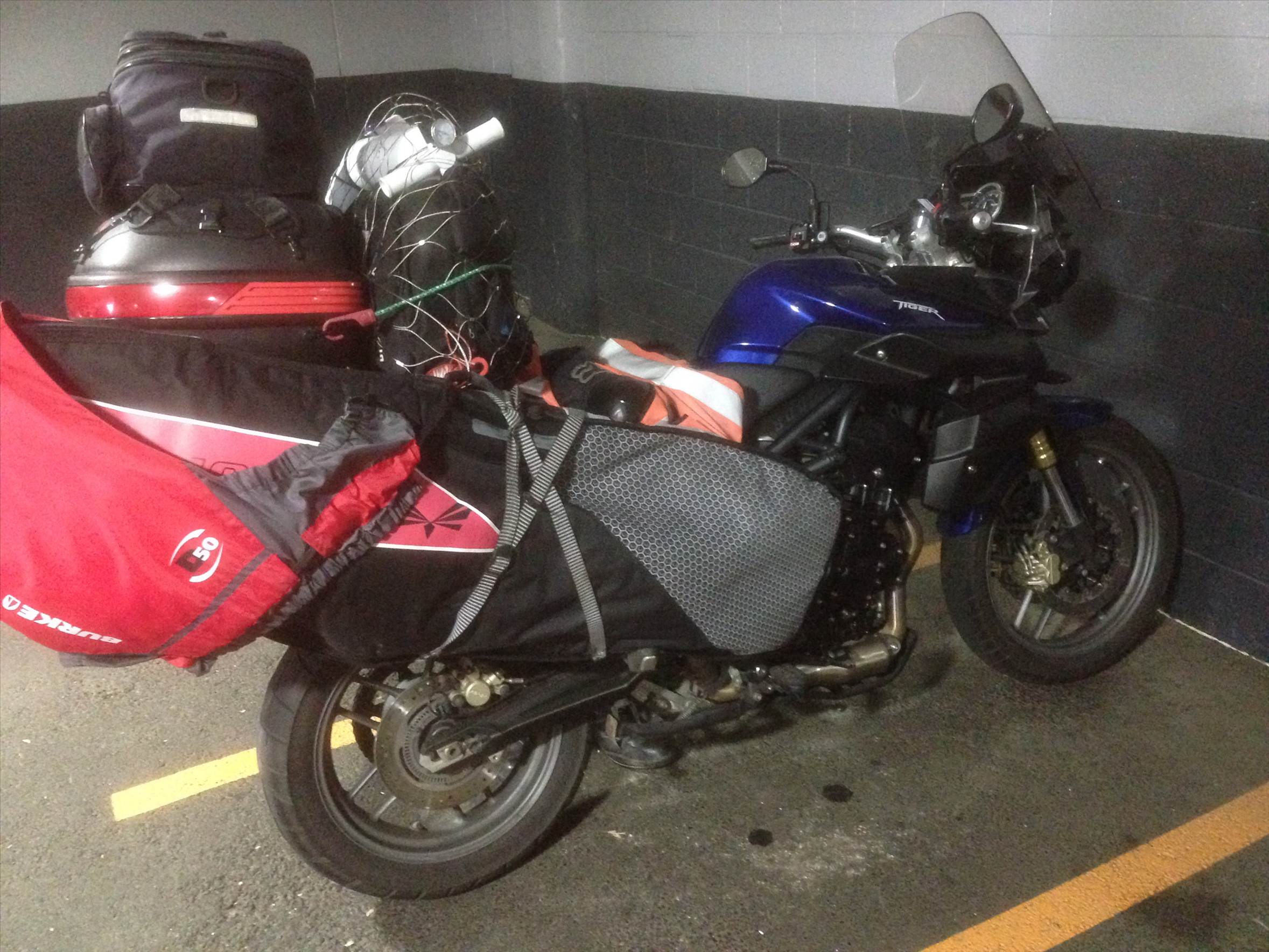 Tiger 800