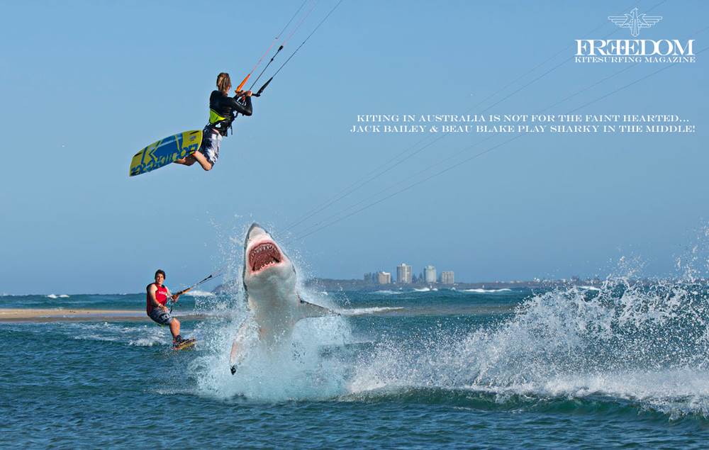 flying-shark
