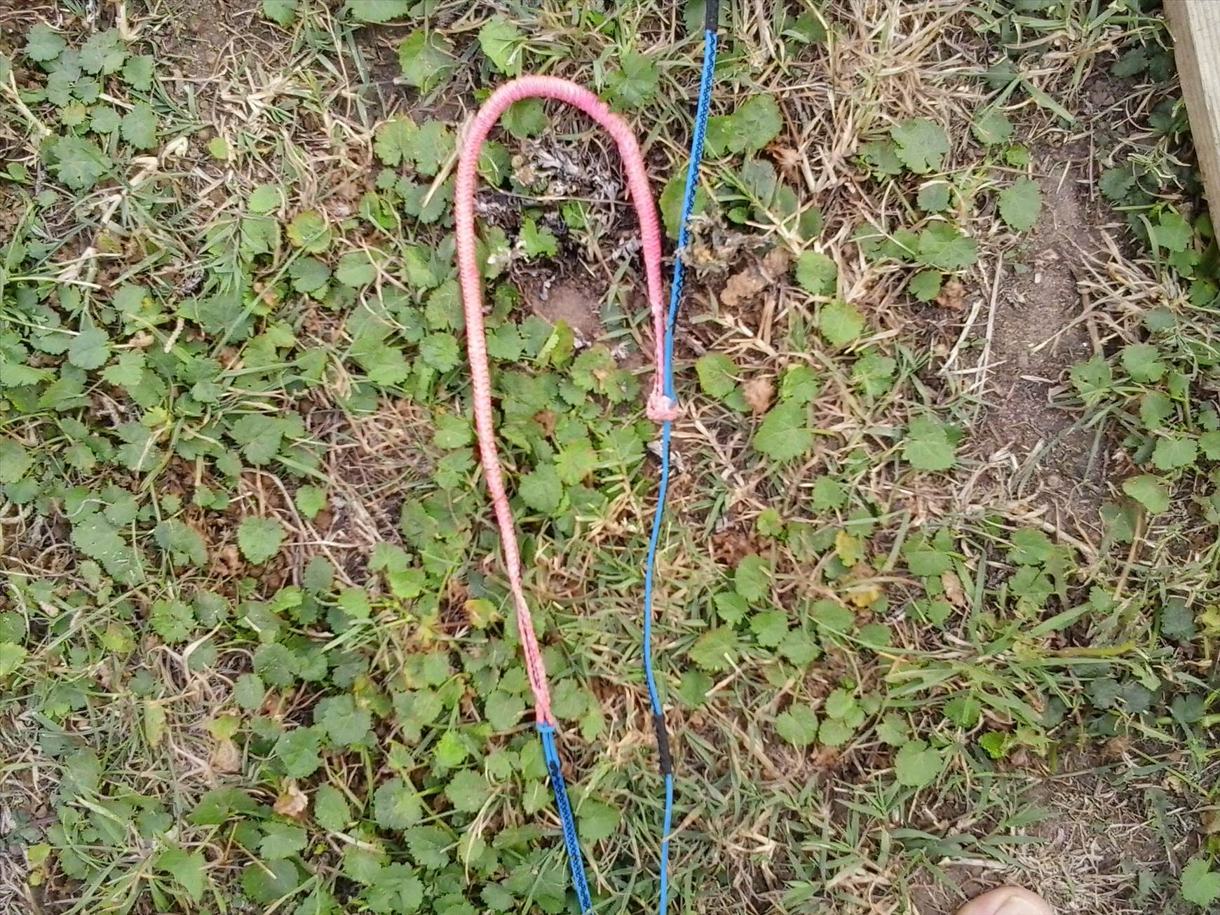 2015-04-06 12.06.49