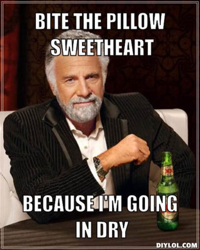 resized the-most-interesting-man-in-the-world-meme-generator-bite-the-pillow-sweetheart-because-i-m-