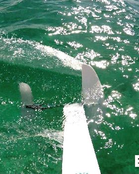 Kitesurfing
