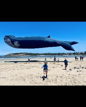 Kiteboarding