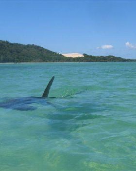 Hammor Head at Moreton Island
