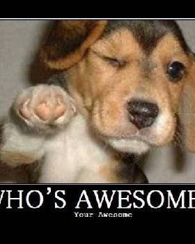 whos-awesome