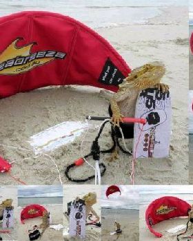 mussopossum-dragon kiting