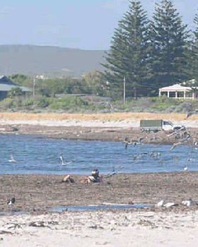 bogged at lano