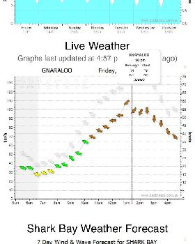 Gnaraloo 79knots cyclone  olwyn