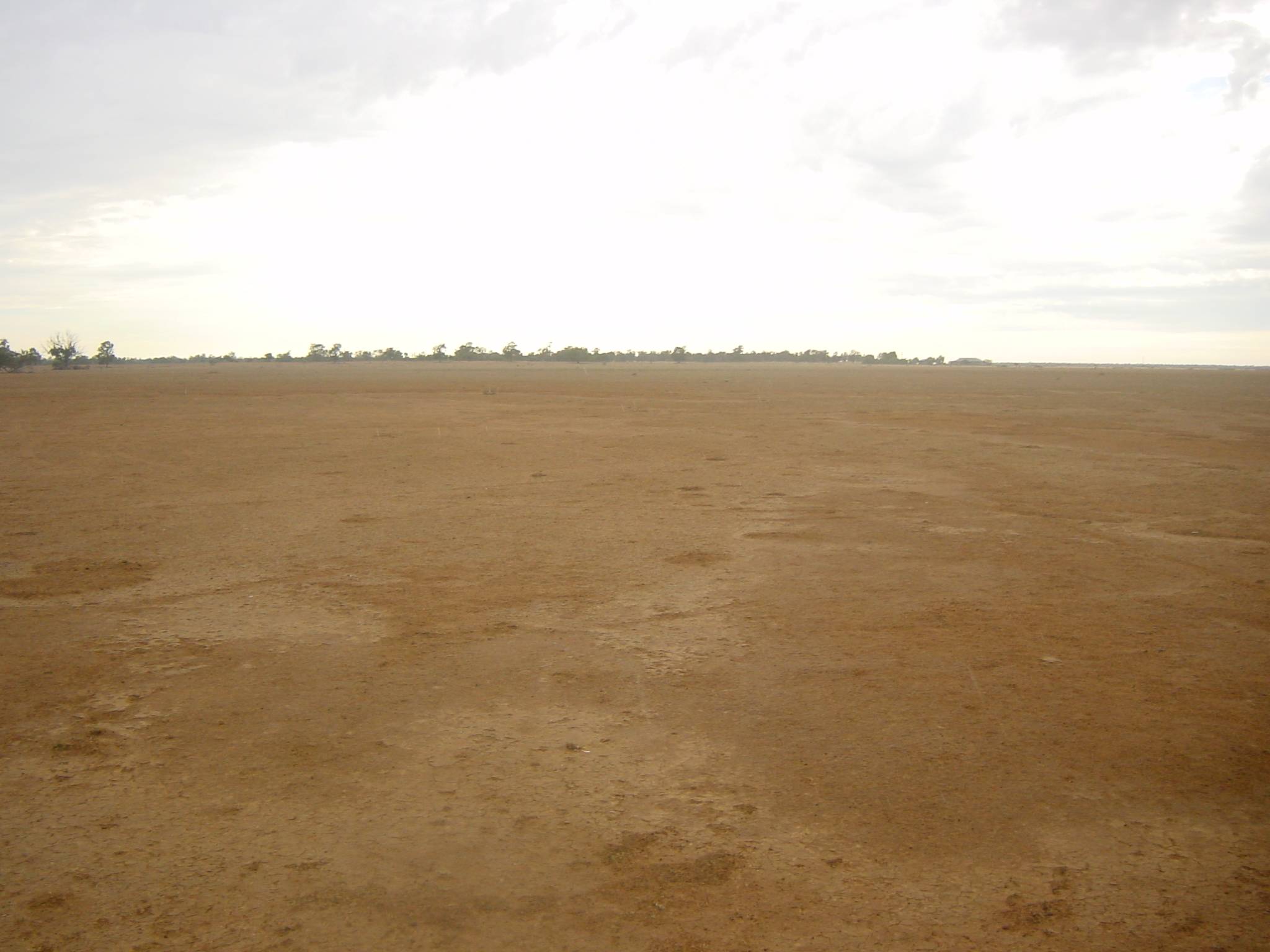 The Hay Plains....