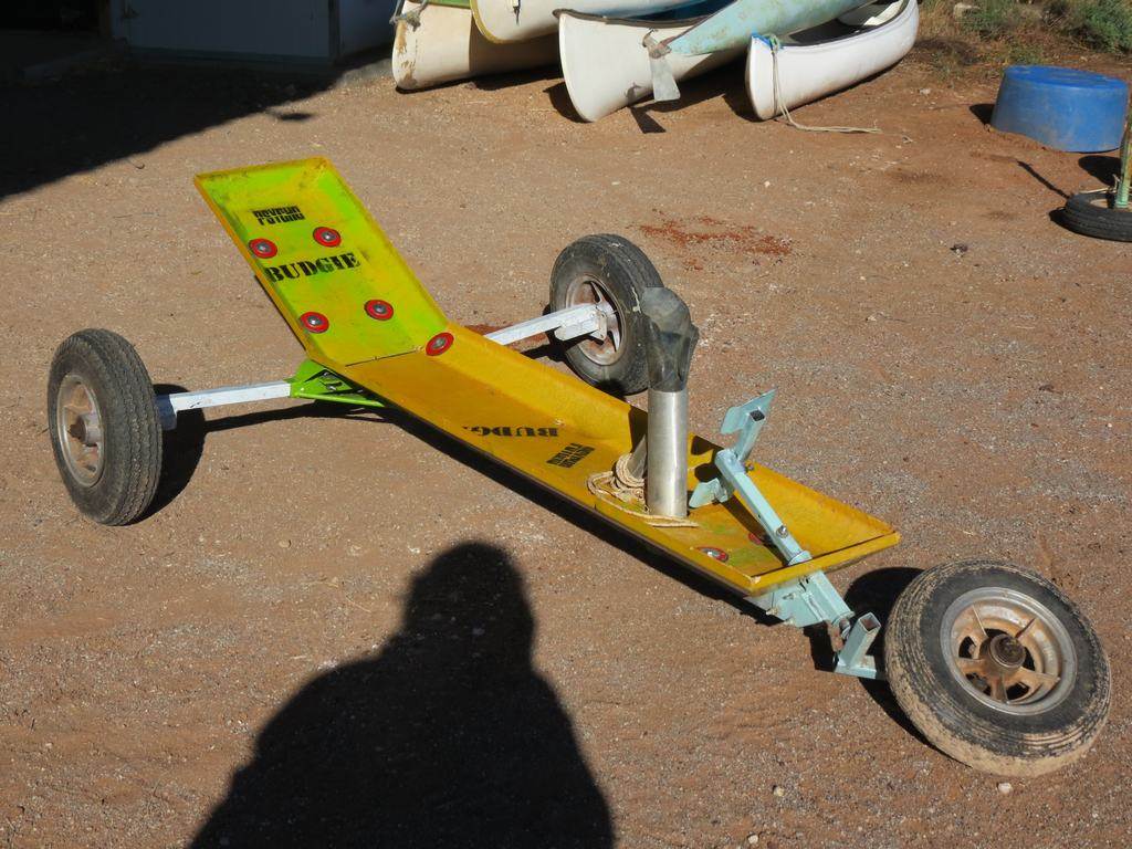 Psycho Budgie chassis 01