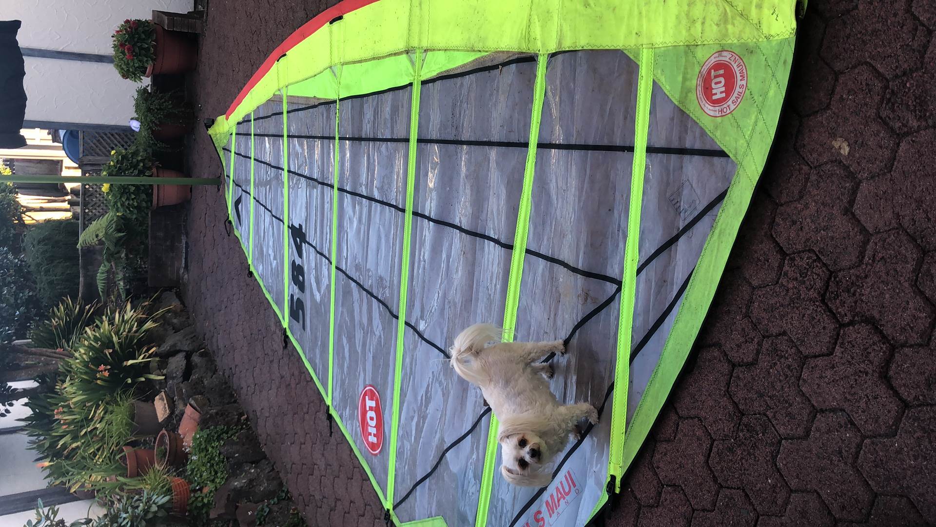 New Sail
