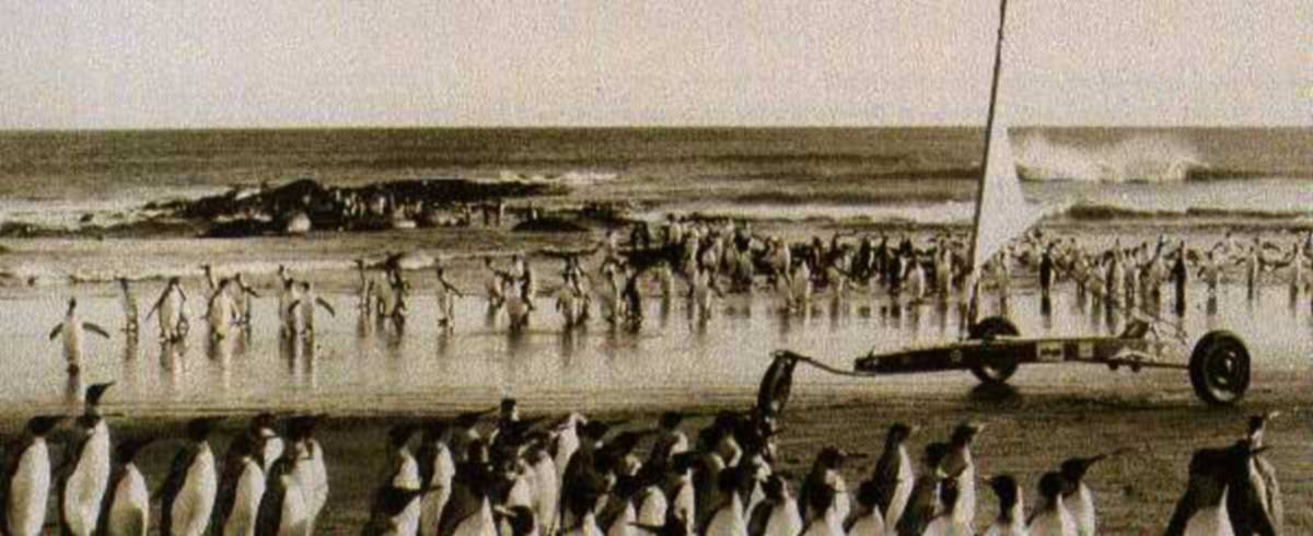 Historical photos