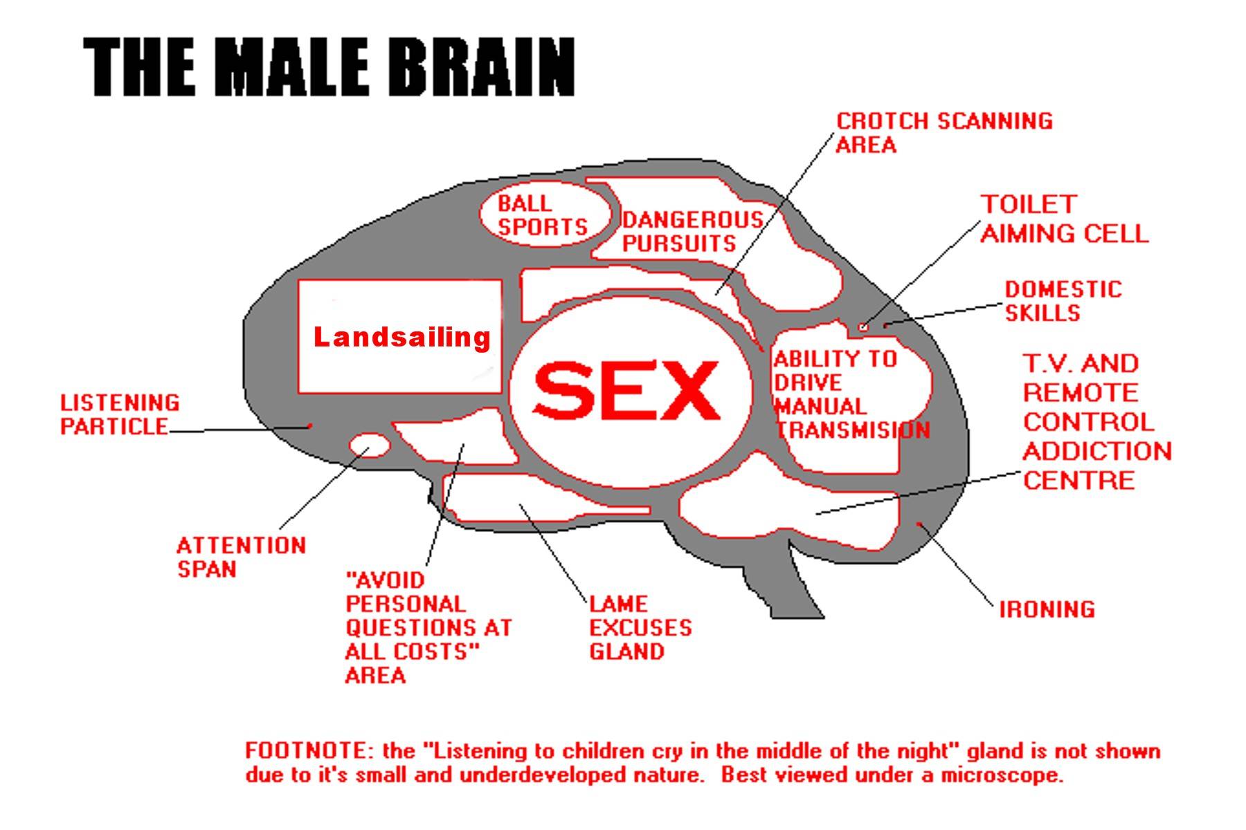 Landsailing Brain