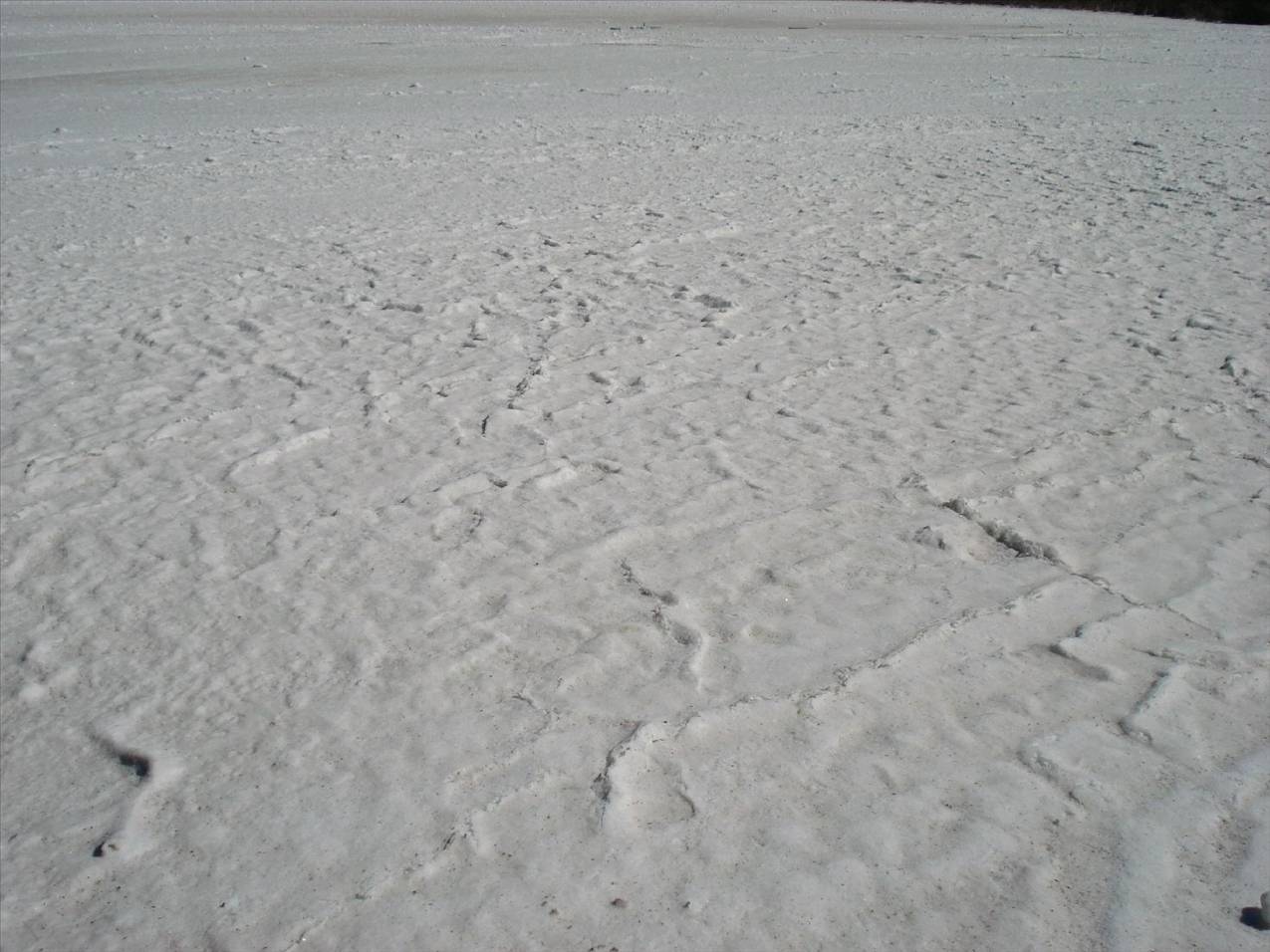 bumpy surface