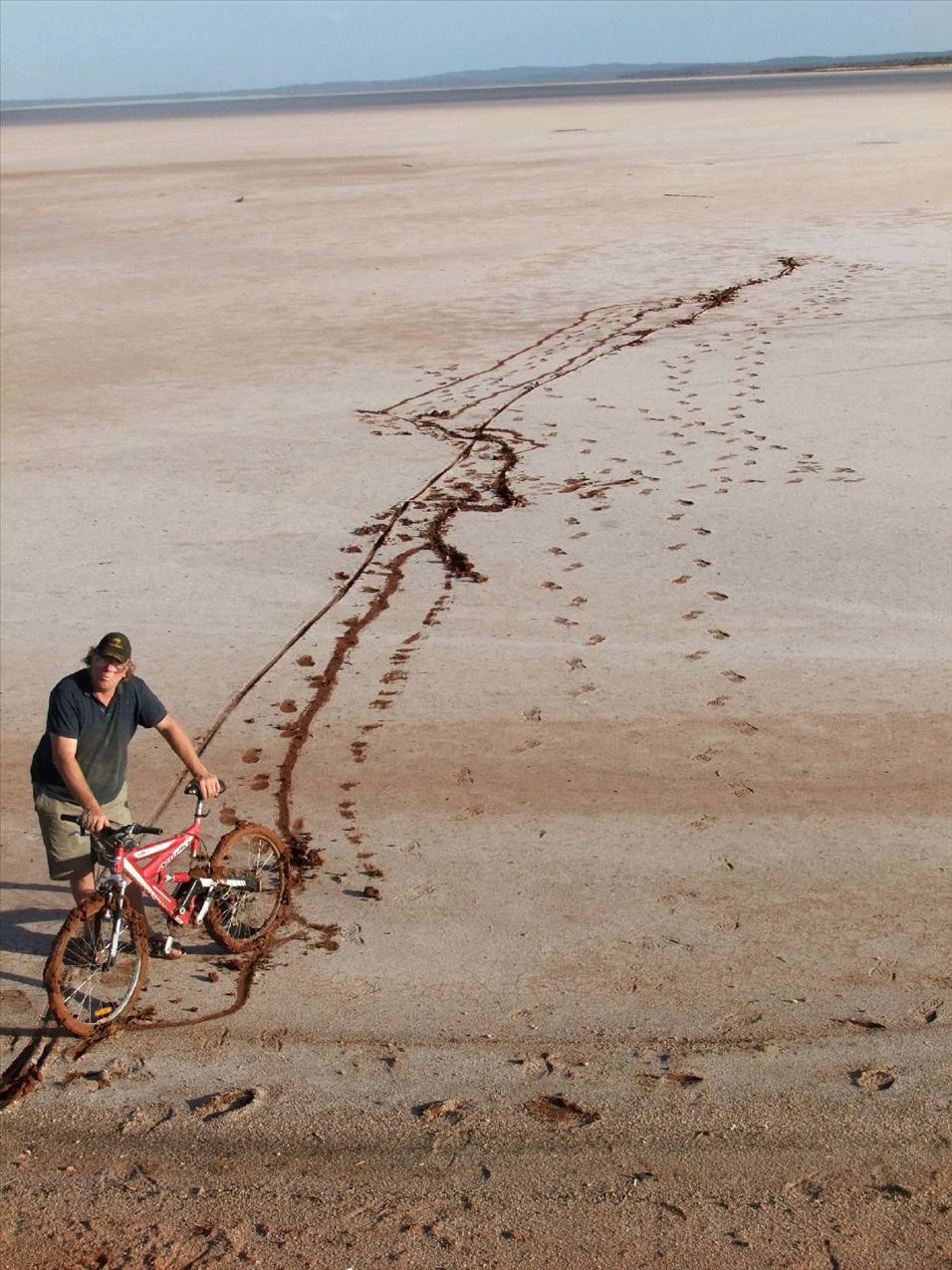 bikes in bogs