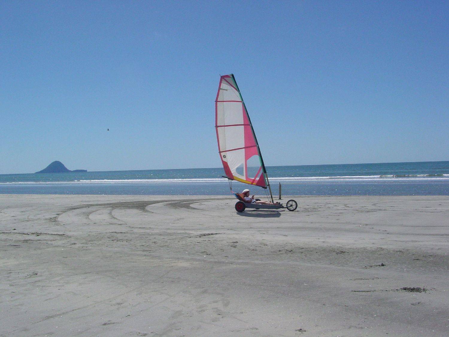 DSC00530