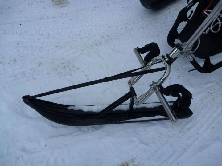 skis for my zooter