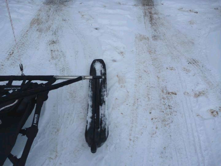 skis for my zooter